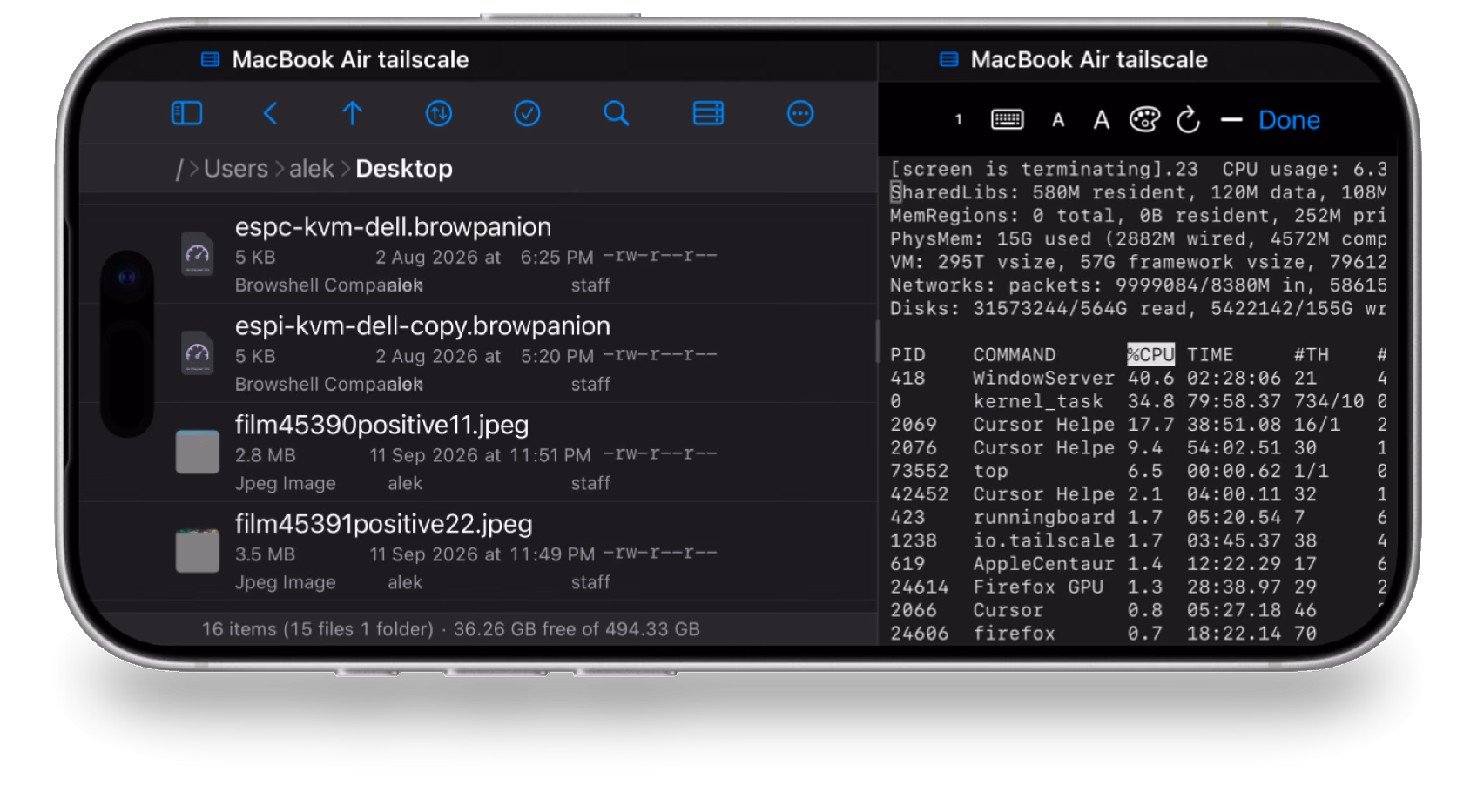 iPhone in landscape with the file browser beside the terminal