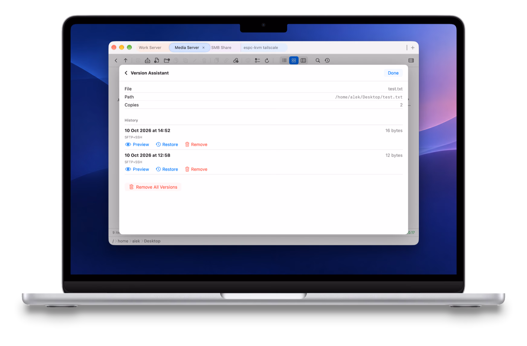 Version Assistant showing earlier copies of a file, with preview and restore